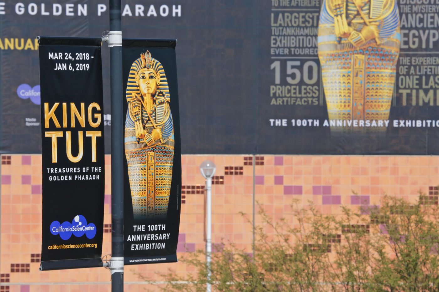 California Science Center: King Tut: Treasures of the Golden Pharaoh