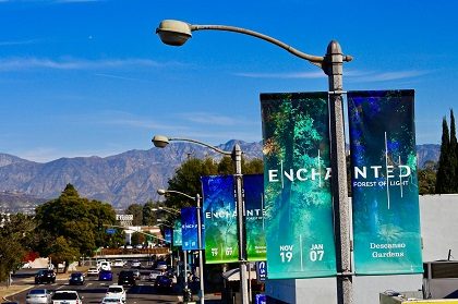 Descanso Gardens: Enchanted Forest of Light