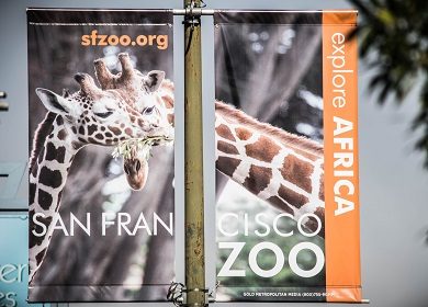 San Francisco Zoo: Explore